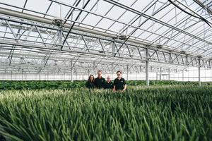 Geb & Green team in greenhouse