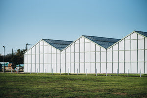 Houseplant growing glasshouses
