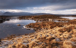 Natural peatland resource